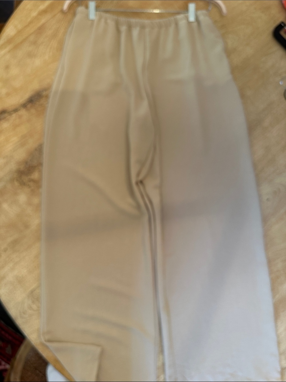 Zara Wide-Leg Pants in Tan w/ elastic waistband